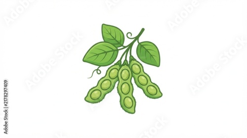 Fresh green soybean pods on a stem with leaves for healthy food design