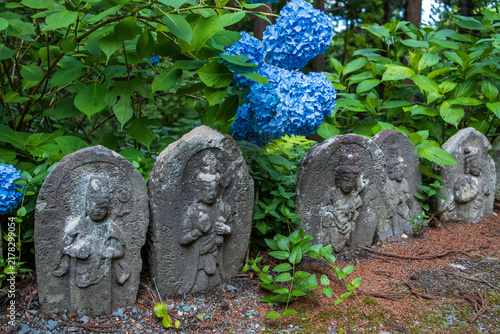 Obraz na płótnie 山形市・出塩文殊堂の紫陽花参道ライトアップ