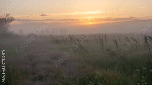Fotografía A misty field at dawn is illuminated by the soft, golden light of a rising sun breaking through distant clouds