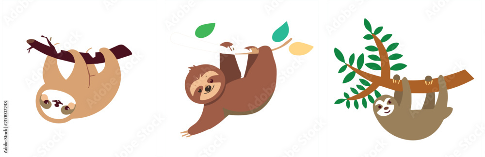 Obraz premium Sloth animal hanging on tree branch cartoon set, cute wildlife character in brown and beige with leaves vector illustration design