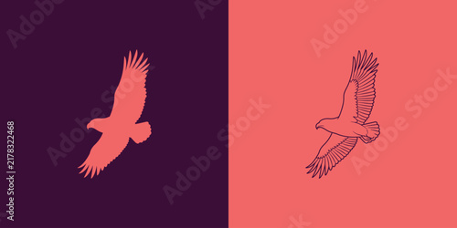 Soaring hawk bird silhouette and outline graphic design element with silhouette