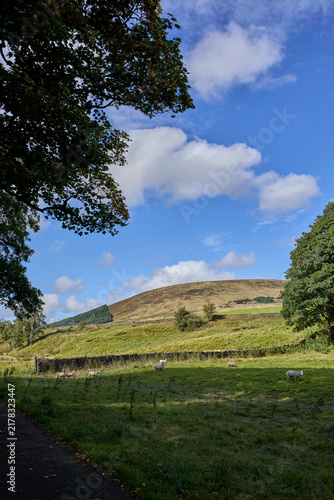 A sunny late August afternoon and a view looking north east towards Beatrix with blue sky and contrasting white clouds. Lancashire