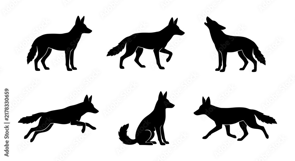 Obraz premium Coyote Silhouette Set, Wild Canine Animal Poses, Howling Wolf-like Creature Vector Icons, Nature Wildlife Graphics, Black and White Animal Collection