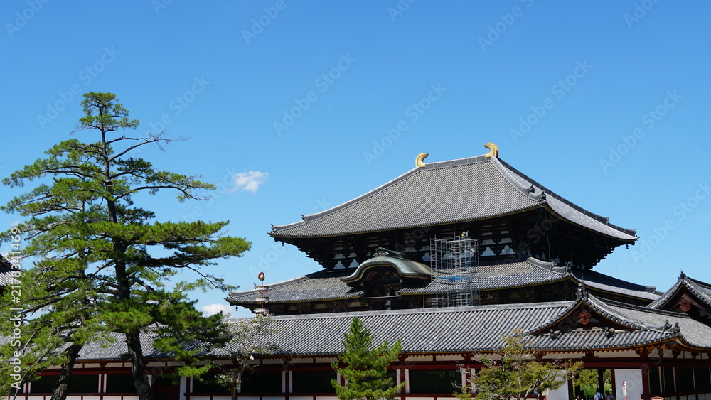 Fototapeta premium Historic Todai-ji Temple and the Great Buddha Hall in Nara, Japan