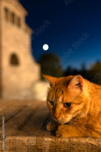 Ginger cat sitting under full moon night sky with historic Greek church background