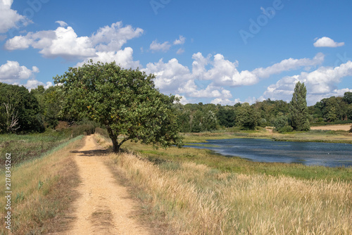 Footpath along Levington Creek, Levington, Suffolk, United Kingdom
