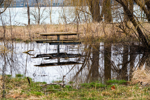 фотографія Flooded Picnic Table in Early Spring Wetland, Michigan