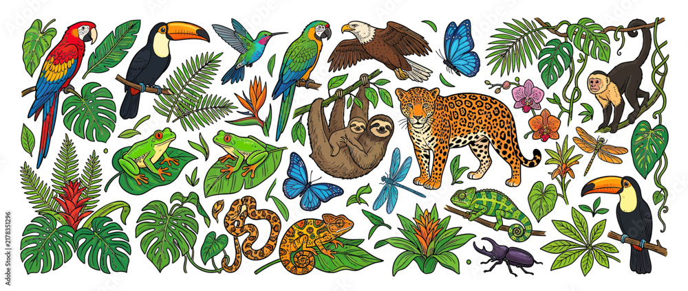 Fototapeta premium Jungle Wildlife and Exotic Plants Collection
