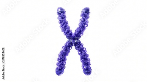 Purple X chromosome model on white background representing genetics and DNA science