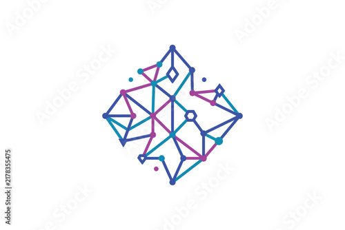 Colorful Geometric Network Abstract Symbol Design.