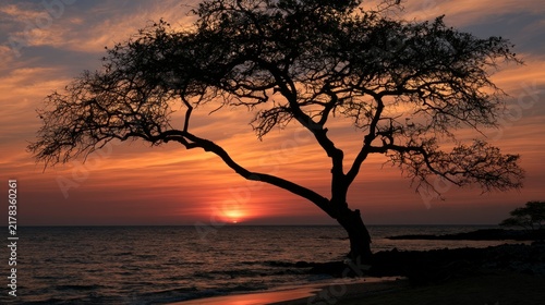Silhouette of a Lone Tree at Sunset Over the Ocean Horizon
