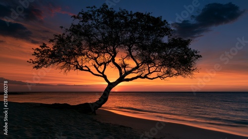 Silhouetted Tree on Tropical Beach at Vibrant Sunset with Colorful Sky and Calm Ocean Waves