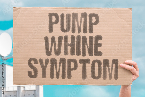 фотографія "Pump whine symptom" Unusual noise indicates coolant pump failure