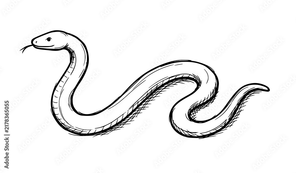 Fototapeta premium Hand drawn sketch of a cute snake isolated on a white background for children coloring book