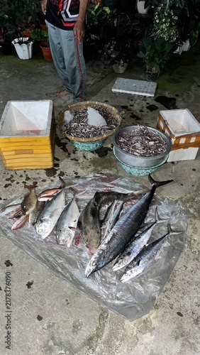 Foto fish caught by fishermen