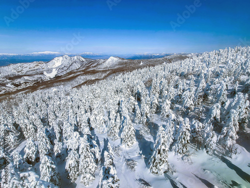 Japanese people are traveling to see snow monsters on Mt. Zao.