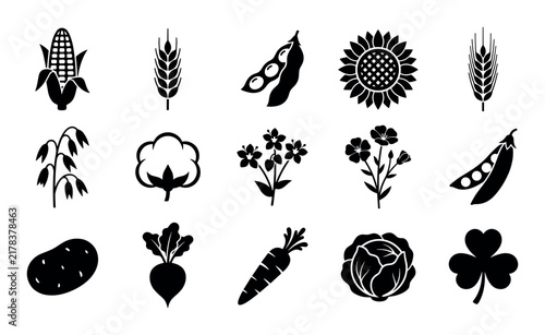 Field crops and flora vector icons with corn stalk, wheat ear and soybean pod for infographic design in clean style