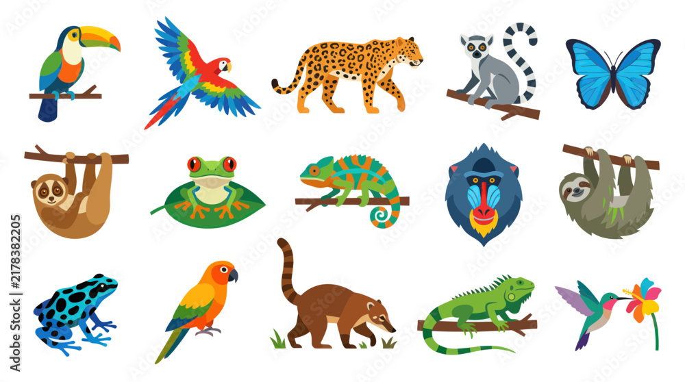 Fototapeta premium Flat Vector Cartoon Set of Exotic Tropical Rainforest Animals. Cute Wildlife Creatures Collection.