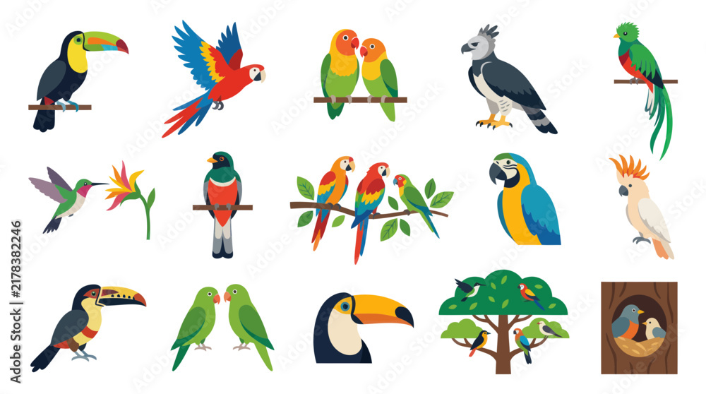 Obraz premium Flat Design Tropical Exotic Birds Vector Illustration Set: Toucans, Macaws, Parrots, Hummingbirds, and More