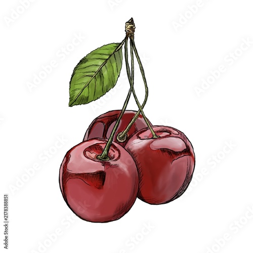 Fotografía Vintage hand drawn watercolor and ink sketch of red sweet cherries with green leaf isolated on white background