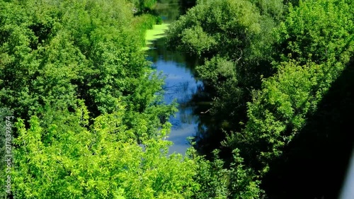 Smotrych River Flowing Through Dense Green Canyon in Kamianets Podilskyi Ukraine Surrounded by Lush Trees and Summer Vegetation
