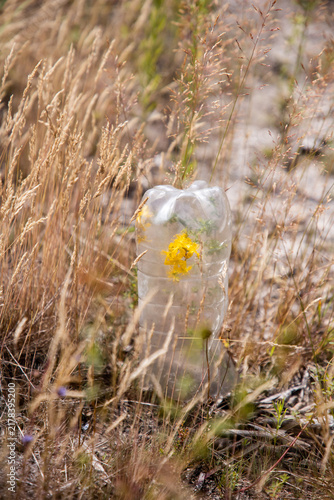Ecological problem. Household waste in nature. Consequences of human activity.  Plastic bottle with a flower inside