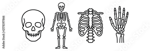 Принти на полотні Human Skeleton Anatomy Icon Set Featuring Skull Full Body Rib Cage And Hand Bone