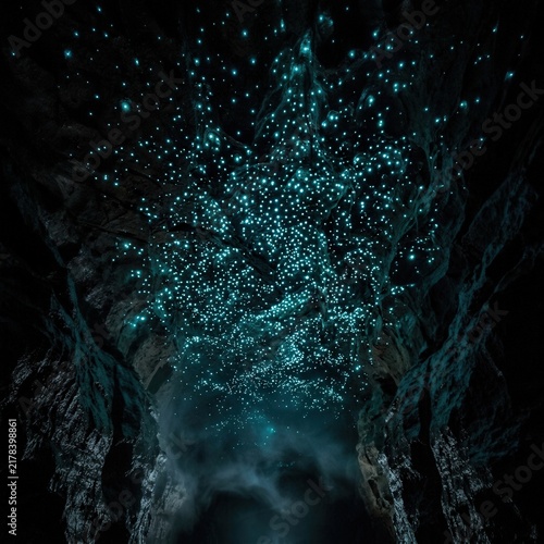 Bioluminescent glow worms illuminate a dark subterranean cavern ceiling creating a spectacular starry night effect inside this wet rocky cave