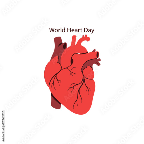 Stylized anatomical human heart for health awareness banner.