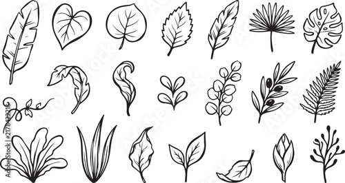 Hand Drawn Floral Elements and Botanical Line Art Clipart Set