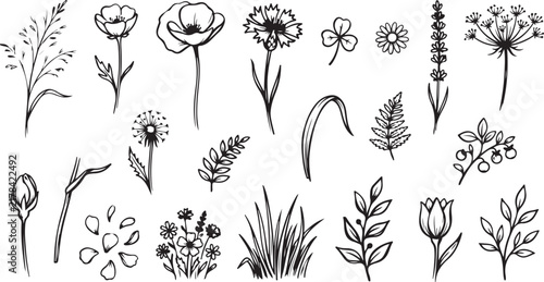 Hand Drawn Wildflower Elements and Botanical Floral Clipart Collection