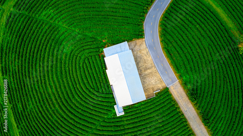 Photography Aerial farm building surrounded by patterned green fields