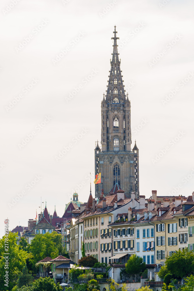 Fototapeta premium Tall spire rises above historic rooftops. Grey stone contrasts with soft sky and green trees. Buildings display classic European architecture. View suggests quiet charm of a historic city
