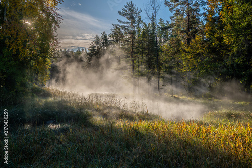 Autumn river in a foggy morning. Farnebofjarden national park in north of Sweden