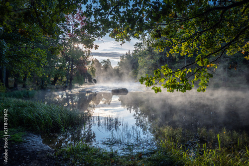 Autumn river in a foggy morning. Farnebofjarden national park in north of Sweden