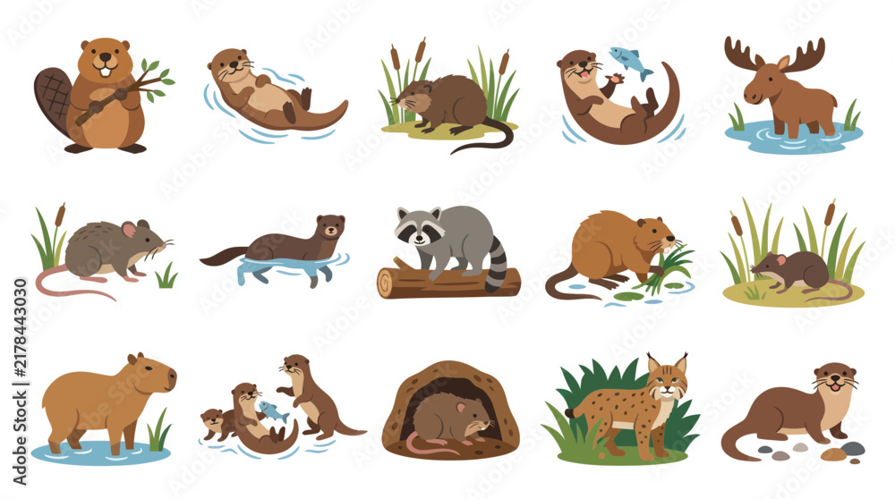 Obraz premium Flat Cartoon Wetland and Forest Mammals Vector Collection: Beavers, Otters, Raccoons, Moose. Nature Wildlife Animals.