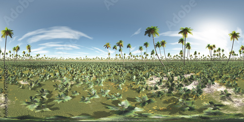 360 Grad Panorama mit einer Urwaldlandschaft mit Palmen