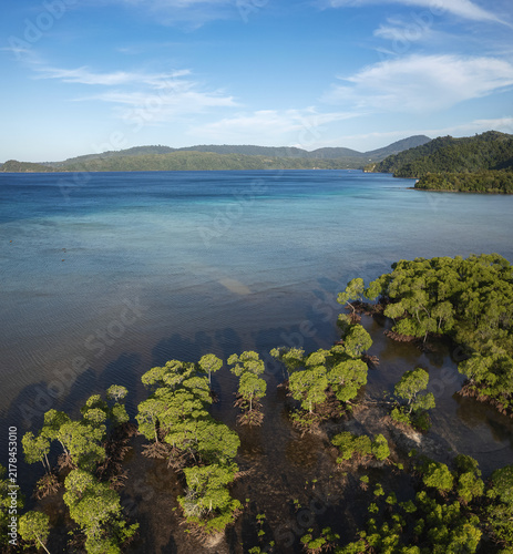 Aerial view of a tropical bay fringed by coastal mangroves and shallow turquoise water along the coast of Aceh Province, Indonesia.
