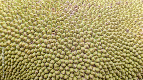 Macro close-up texture of green jackfruit skin with detailed spiky bumpy surface pattern, organic natural fruit background.