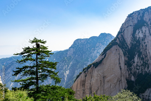 Bild auf Leinwand Lone Pine and Granite Cliffs on Mount Huashan, Shaanxi, China