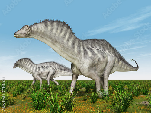 Dinosaurier Amargasaurus in einer Landschaft