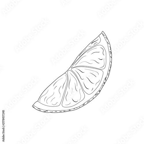 Vector illustration of black line hand drawn citrus slice isolated on white background. Design for citrus juice, natural and organic products packaging