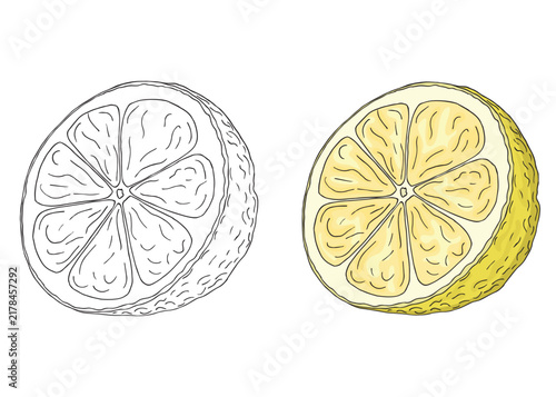 Vector illustration of black line and colorful hand drawn lemons isolated on white background. Design for citrus juice, natural and organic products packaging