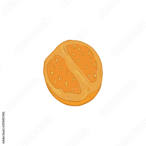 Vector colorful illustration of hand drawn half of physalis berry isolated on white background