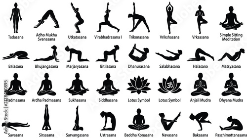 Vector yoga pose collection featuring black silhouettes with Sanskrit and English labels including Tadasana Vrikshasana and Padmasana on a plain white background for design use.