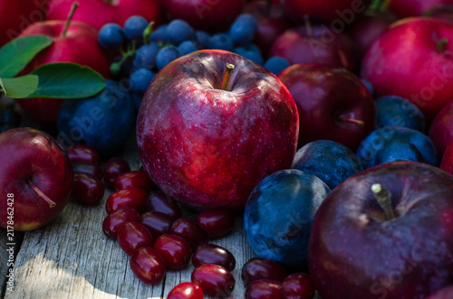 Autumn fruit harvest abundance background with red apples, blue plums, grapes and cornelian cherries. Moody dark red and purple berries still life on rustic wood.