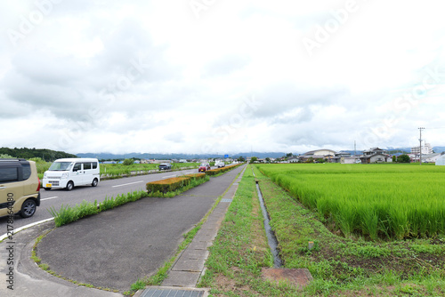 Japanese countryside with rice fields and rural landscape