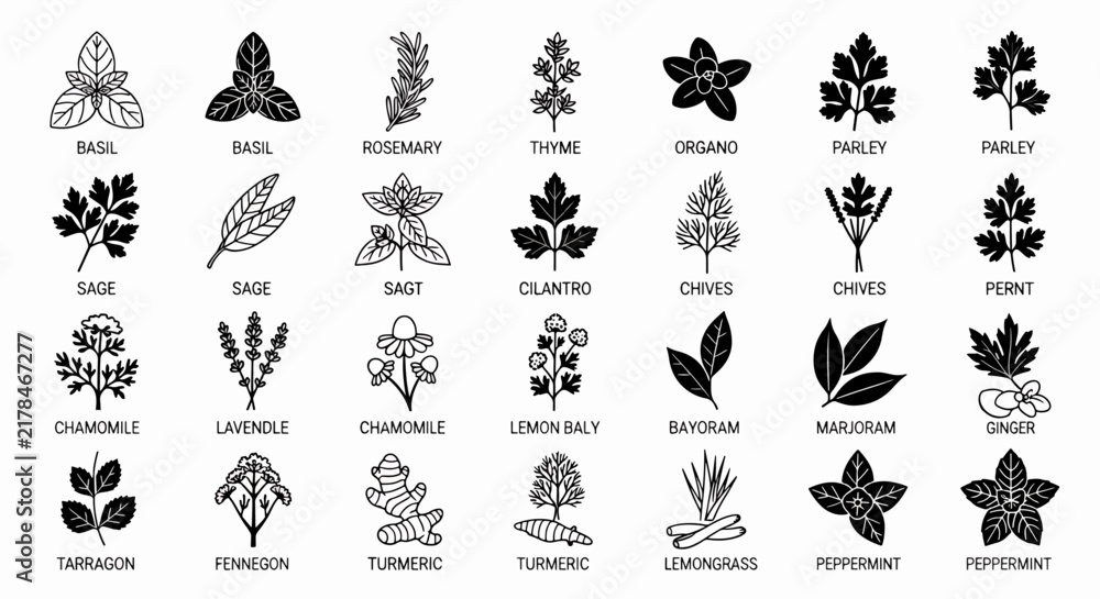 Obraz premium Collection of various herbs and spices vector icons, perfect for culinary and food-related designs and illustrations