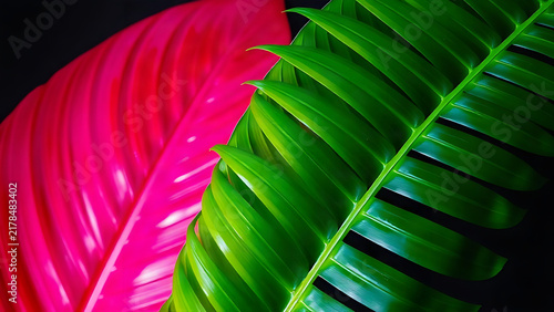 Fluorescent tropical leaves flat lay with neon pink and green lighting, vibrant nature concept.