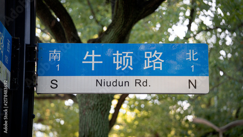 Cuadro en lienzo "Newton Road" Road Sign in Shanghai Zhangjiang Town (China)